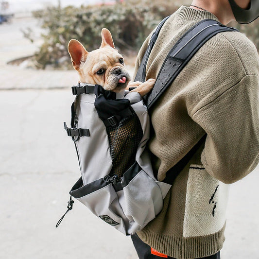 Cycling Pet Dog Dog Backpack Medium Large Dog Shiba Inu Corgi Golden Retriever Jarre Aero Bull Outer Travel Cycling Backpack